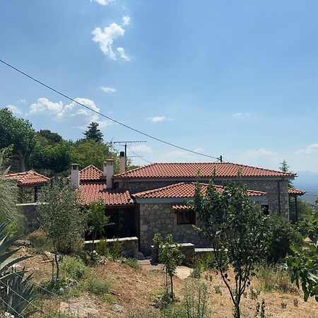Terra Petra Villa At Psari Trikolonon Gortynia Psárion Exterior foto