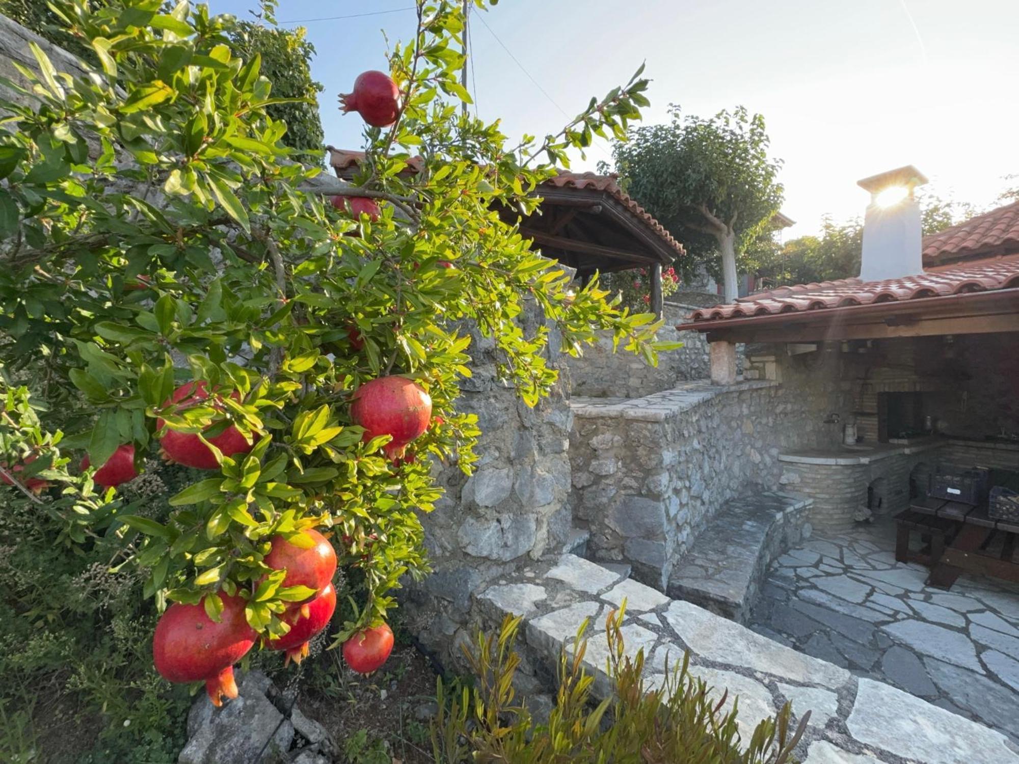 Terra Petra Villa At Psari Trikolonon Gortynia Psárion Exterior foto